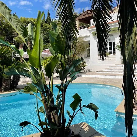 Piscine Proche Centre Villa Cannes